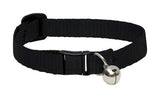 LupinePet Basic Solids Black Black Nylon Cat Collar