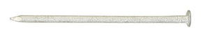 Ace 20D 4 in. Box Hot-Dipped Galvanized Steel Nail Flat Head 1 lb