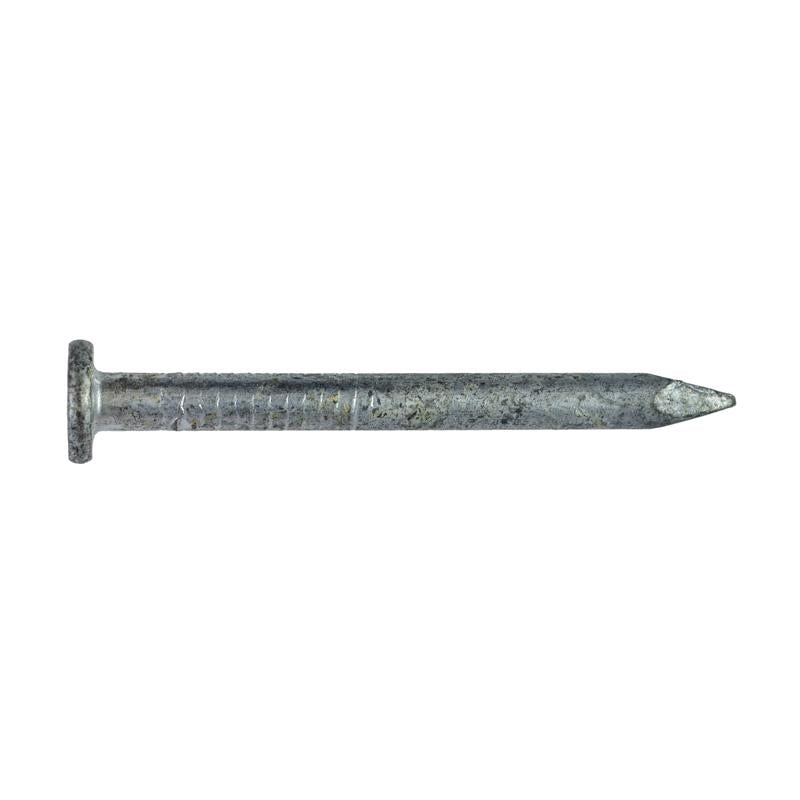 Simpson Strong-Tie 8D 1-1/2 in. Wood Joiner Hot-Dipped Galvanized Steel Nail Round Head 1 lb