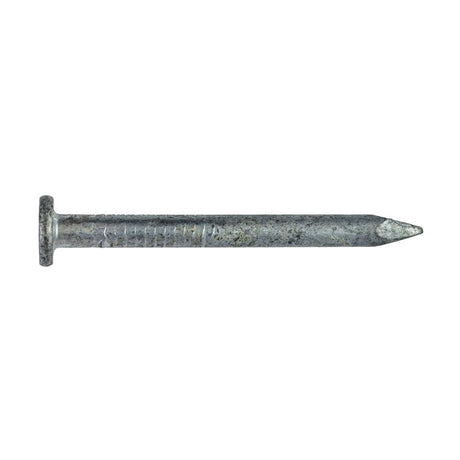 Simpson Strong-Tie 8D 1-1/2 in. Wood Joiner Hot-Dipped Galvanized Steel Nail Round Head 1 lb