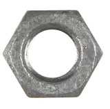 Hillman 5/16 in. Hot Dipped Galvanized Steel USS Hex Nut 100 pk