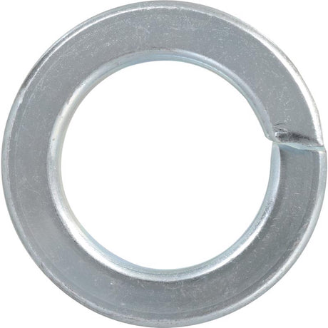 HILLMAN No. 8 in. D Zinc-Plated Steel Split Lock Washer 30 pk, Pack of 10