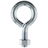 Hampton 5/16 in. X 2-1/4 in. L Zinc-Plated Steel Eyebolt Nut Included, Pack of 10