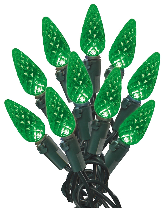 Hometown Holidays U10E405E Light Set, Christmas, 120 V, 4.8 W, 60-Lamp, LED, Green, 25000 hr Average Life, 14.96 ft L