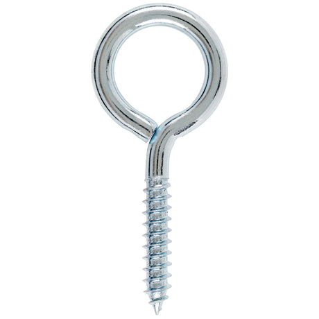 Hampton 3/8 in. X 4 in. L Zinc-Plated Steel Lag Thread Eyebolt, Pack of 10