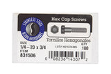 HILLMAN 1/4-20 in. D X 3/4 in. L Stainless Steel Hex Head Cap Screw 100 pk