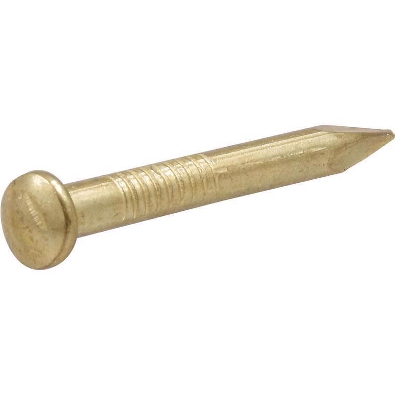 HILLMAN OOK Brass-Plated Brick Picture Hanging Nails 20 lb 10 pk, Pack of 12