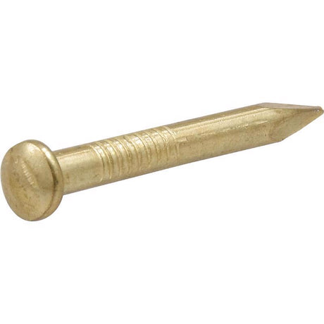 HILLMAN OOK Brass-Plated Hardwall Picture Hanging Nails 15 lb 10 pk, Pack of 12