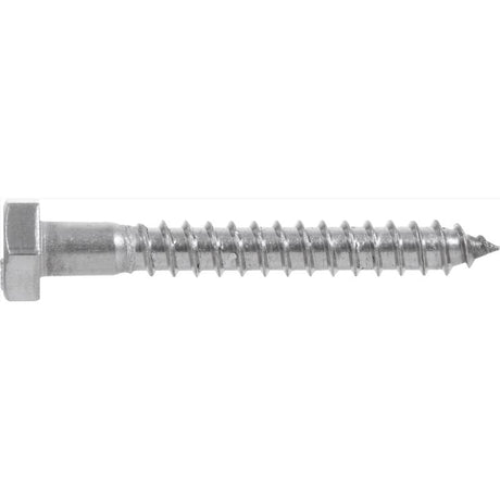 HILLMAN 1/2 in. X 2 in. L Hex Stainless Steel Lag Screw 25 pk