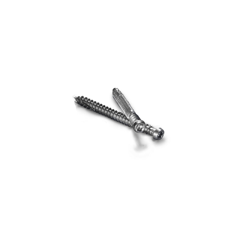 Starborn Pro Plug No. 10 X 2-1/2 in. L Star Star Head Deck Screws and Plugs Kit 1 pk, Pack of 4
