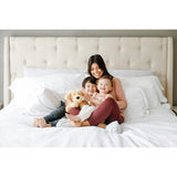 Warmies Stuffed Animals Brown