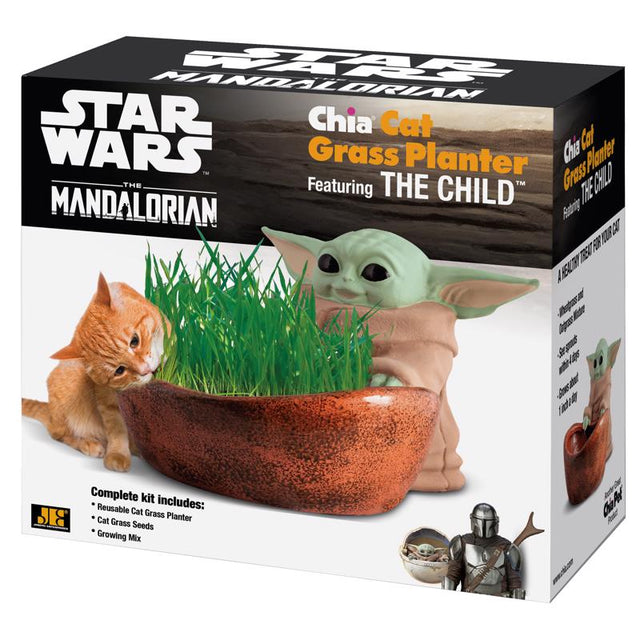Chia Pet Star Wars Decorative Planter Terracotta Clay 1 pk, Pack of 16