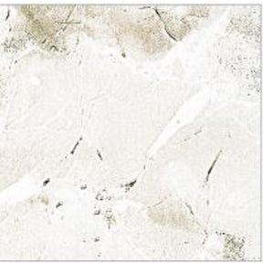 Con-Tact 9 ft. L X 18 in. W Marble Coffee Self-Adhesive Shelf Liner, Pack of 12