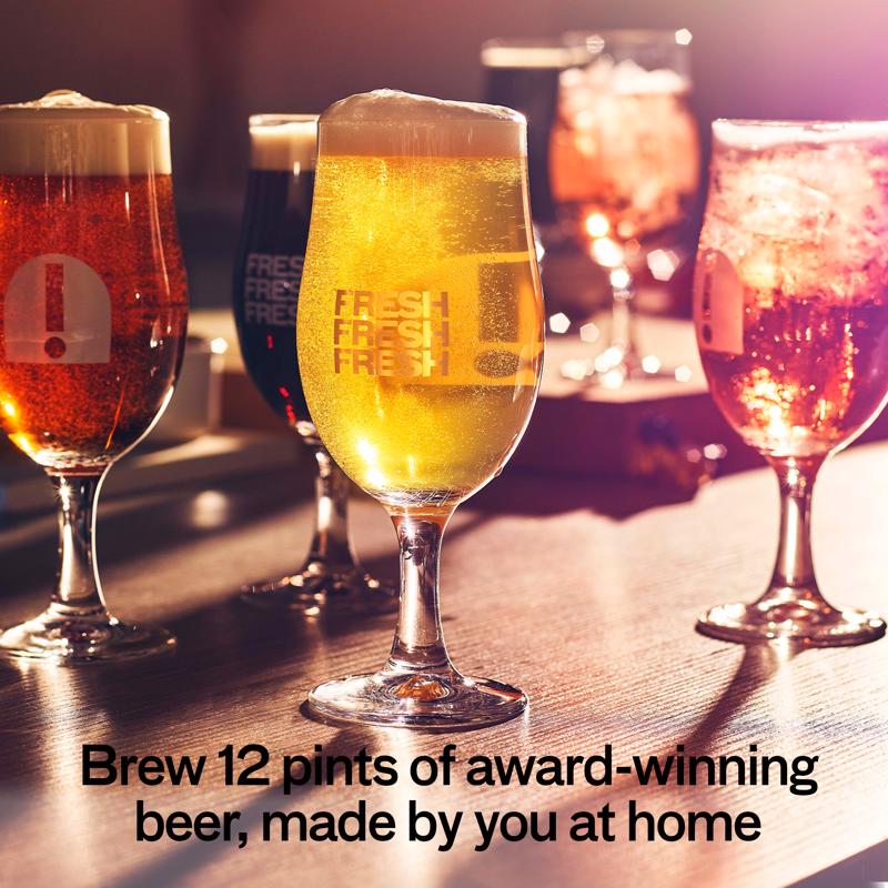 Pinter Sunlit Lager Beer Making Kit 12 pt 1 pk