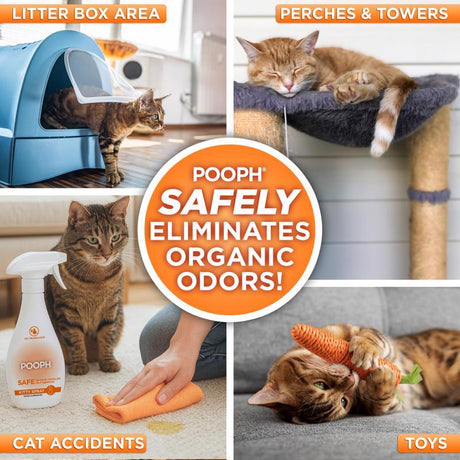 Pooph Cat Liquid Litter Box Odor Destroyer 20 oz, Pack of 6