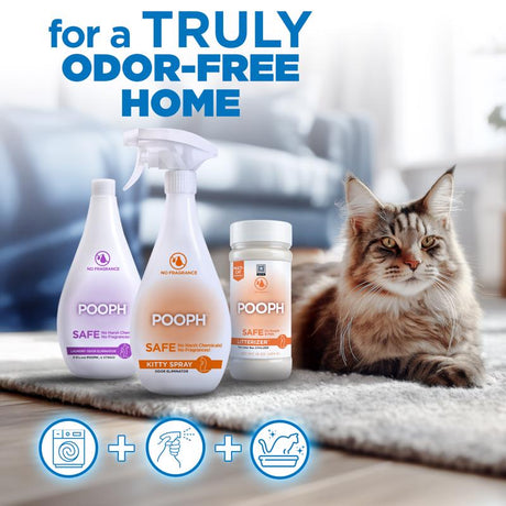 Pooph Cat Liquid Litter Box Odor Destroyer 20 oz, Pack of 6
