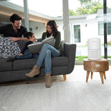 Levoit Core P350-RAC-P Carbon Air Purifier 219 sq ft