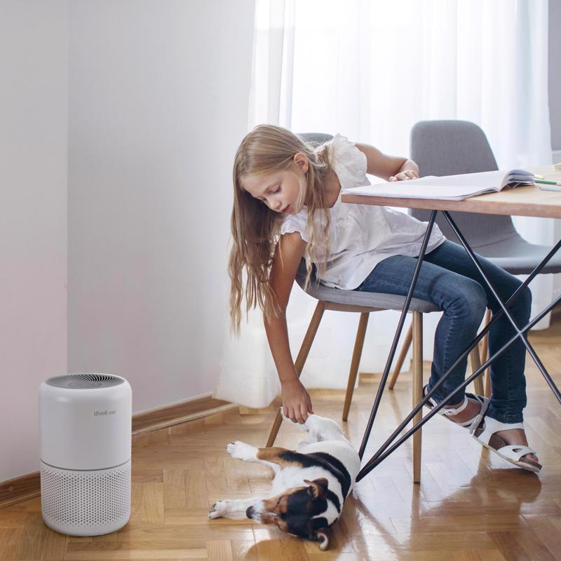 Levoit Core P350-RAC-P Carbon Air Purifier 219 sq ft