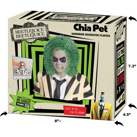 Chia Pet Beetlejuice Decorative Planter Clay 1 pk