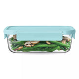 Bentgo Food Storage Container 1 pk, Pack of 4