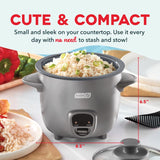Dash Gray 2 cups Rice Cooker