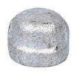 ProSource 18-1/8G Hex Pipe Cap, 1/8 in, Threaded, Steel, 40 Schedule, 300 psi Pressure