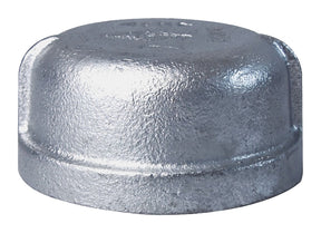 ProSource 18-2G Pipe Cap, 2 in, Threaded
