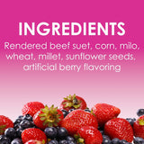 Heath DD-15 Suet Cake, All-Season, Berry, 11.25 oz, Pack of 12