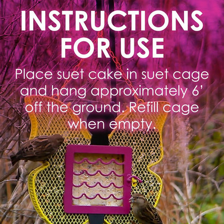 Heath DD-15 Suet Cake, All-Season, Berry, 11.25 oz, Pack of 12