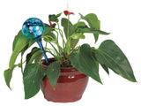 Aqua Globe As Seen On TV Assorted Glass Aqua Globe