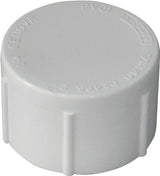 IPEX 435425 Pipe Cap, 1 in, FPT, White, SCH 40 Schedule, 150 psi Pressure