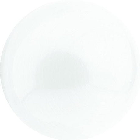 Dura Faucet DFSA200WT Stainless Shower Hose, 60", White