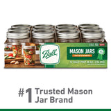Ball Regular Mouth Mason Jar 8 oz 12 pk
