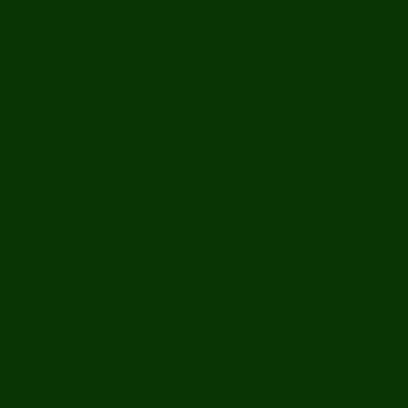 Flex Seal Family of Products Flex Seal Green Rubber Spray Sealant 14 oz, Pack of 6