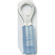 Ancor 230245 Marine Grade Nylon Insulated Ring Terminals, 5/16″ Fastener, #6 Wire, Blue, 1/Pk