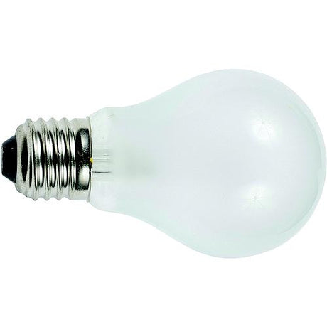 Ancor Light Bulb, Medium Screw Standard Base (2 Per Pack)