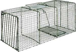 Duke Traps 1114 Cage Trap, 36 in L, 15 in W, 14 in H