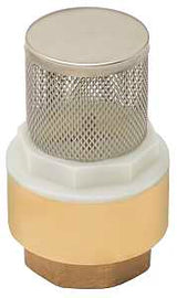 Lasco 06-5134 Foot Valve with Strainer, 1 in Connection, FIP, Brass Body