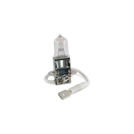 Marinco Replacement H3 Halogen Bulb For SPL Spot Lights