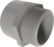 Cantex 1-1/4 in. D PVC Male Adapter For PVC 1 pk