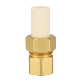 Homewerks Schedule 40 3/4 in. Compression X 3/4 in. D FPT CPVC/Brass Adapter Coupling