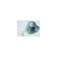 Auto Prop Anode