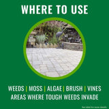 NATRIA Ready-to-Use Weed and Grass Killer RTU Liquid 1 gal