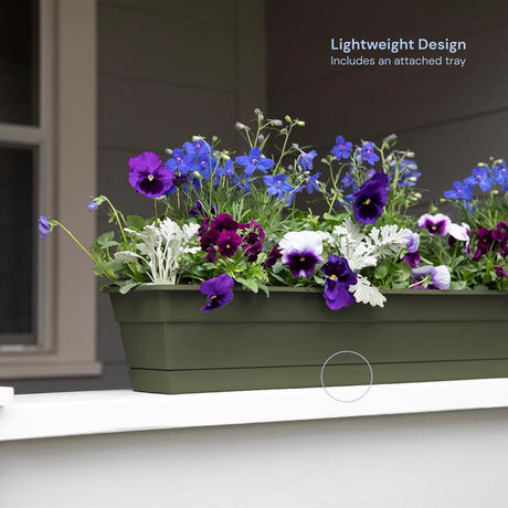 Bloem Dura Cotta 5.75 in. H X 30 in. W X 7.5 in. D Plastic Window Box Living Green