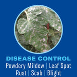 BioAdvanced Houseplant Insect & Mite Control Spray 24 oz