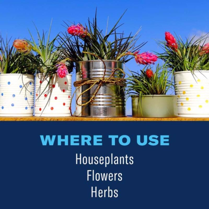 BioAdvanced Houseplant Insect & Mite Control Spray 24 oz