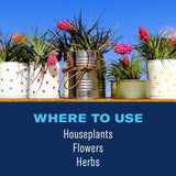 BioAdvanced Houseplant Insect & Mite Control Spray 24 oz