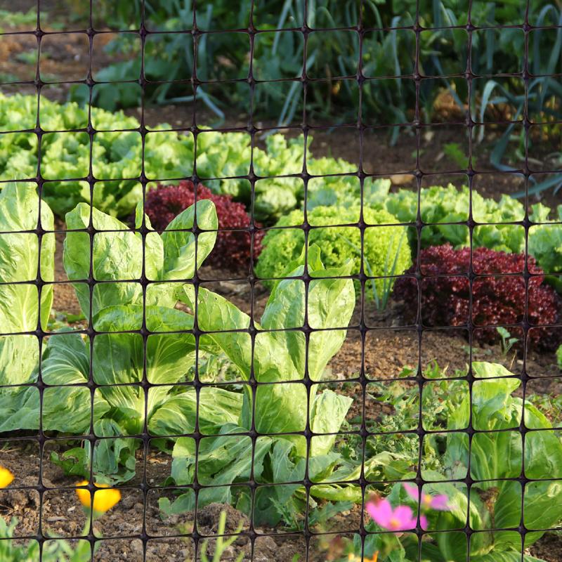 Garden Craft 36 in. H X 50 ft. L Plastic Fencing 1 in. X 1 in. in.