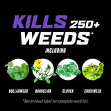 Ortho WeedClear Weed Killer RTU Liquid 24 oz