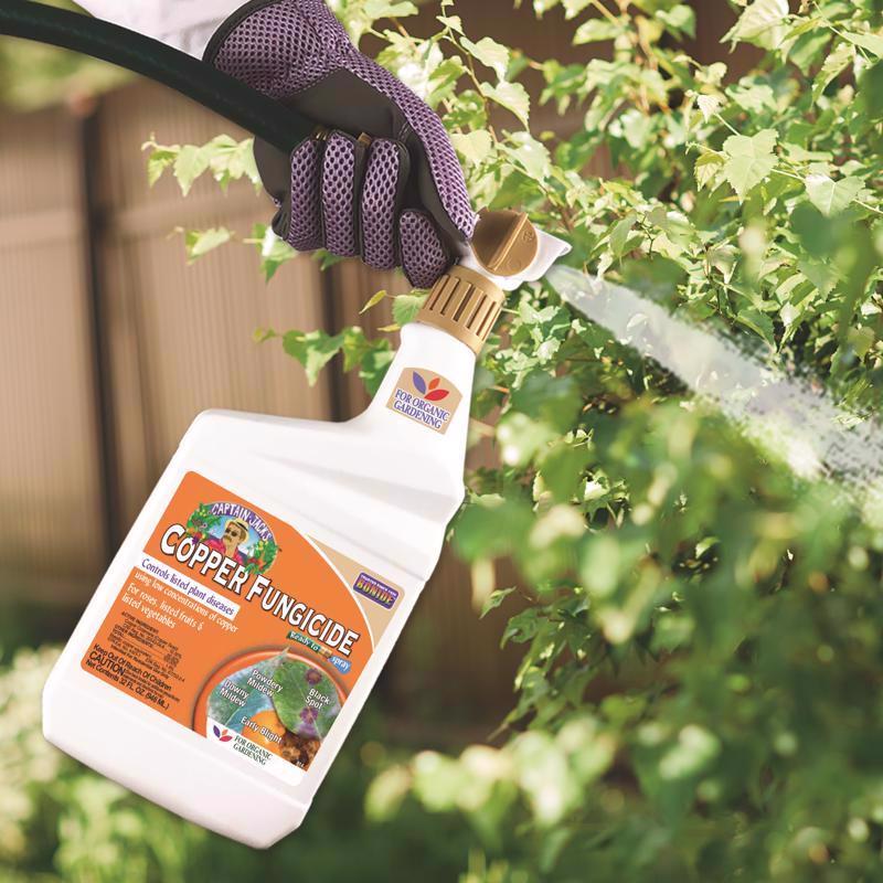 Bonide Organic Liquid Copper Fungicide 32 oz